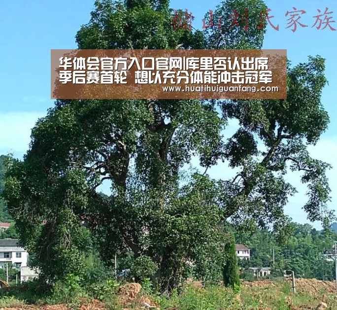 华体会官方入口官网|库里否认出席季后赛首轮 想以充分体能冲击冠军(图4) 华体会官方入口