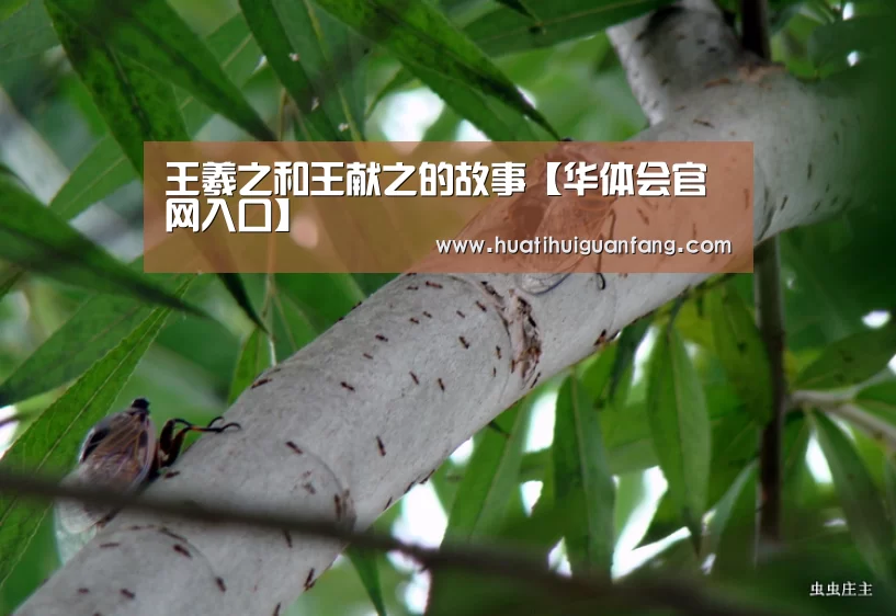 王羲之和王献之的故事【华体会官网入口】(图1) 华体登录入口