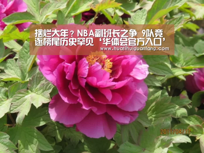 华体会官方入口官网