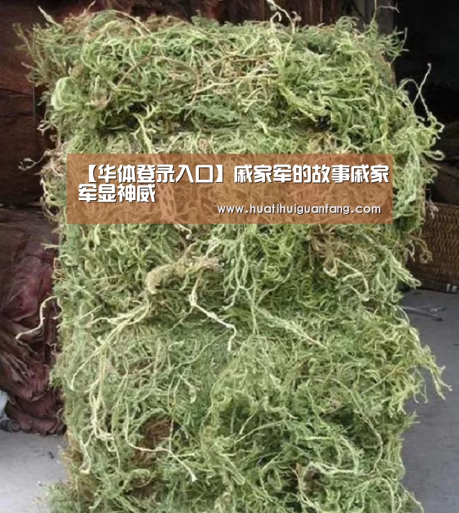 【华体登录入口】戚家军的故事戚家军显神威(图2) 华体登录入口