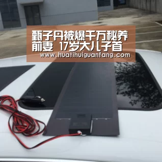 甄子丹被爆千万秘养前妻 17岁大儿子首曝光|华体会官网入口(图3) 华体会官方入口