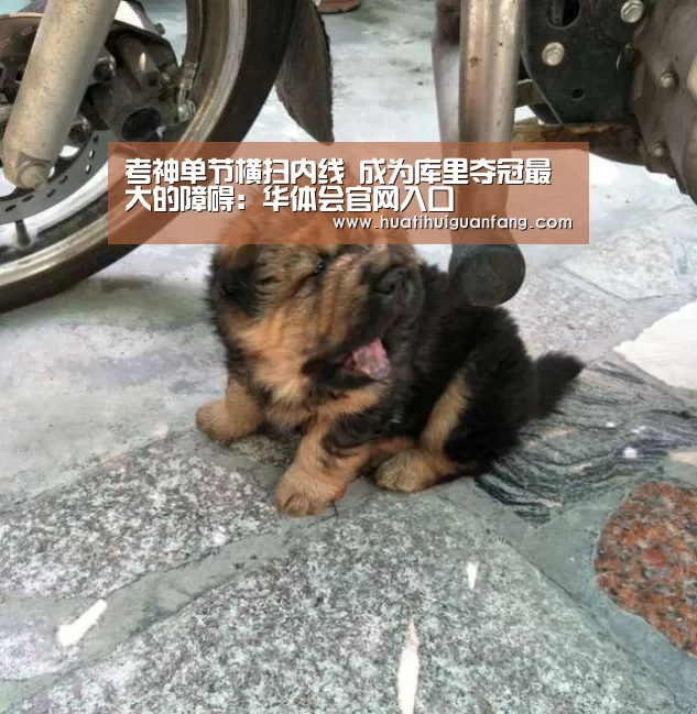 华体会官方入口