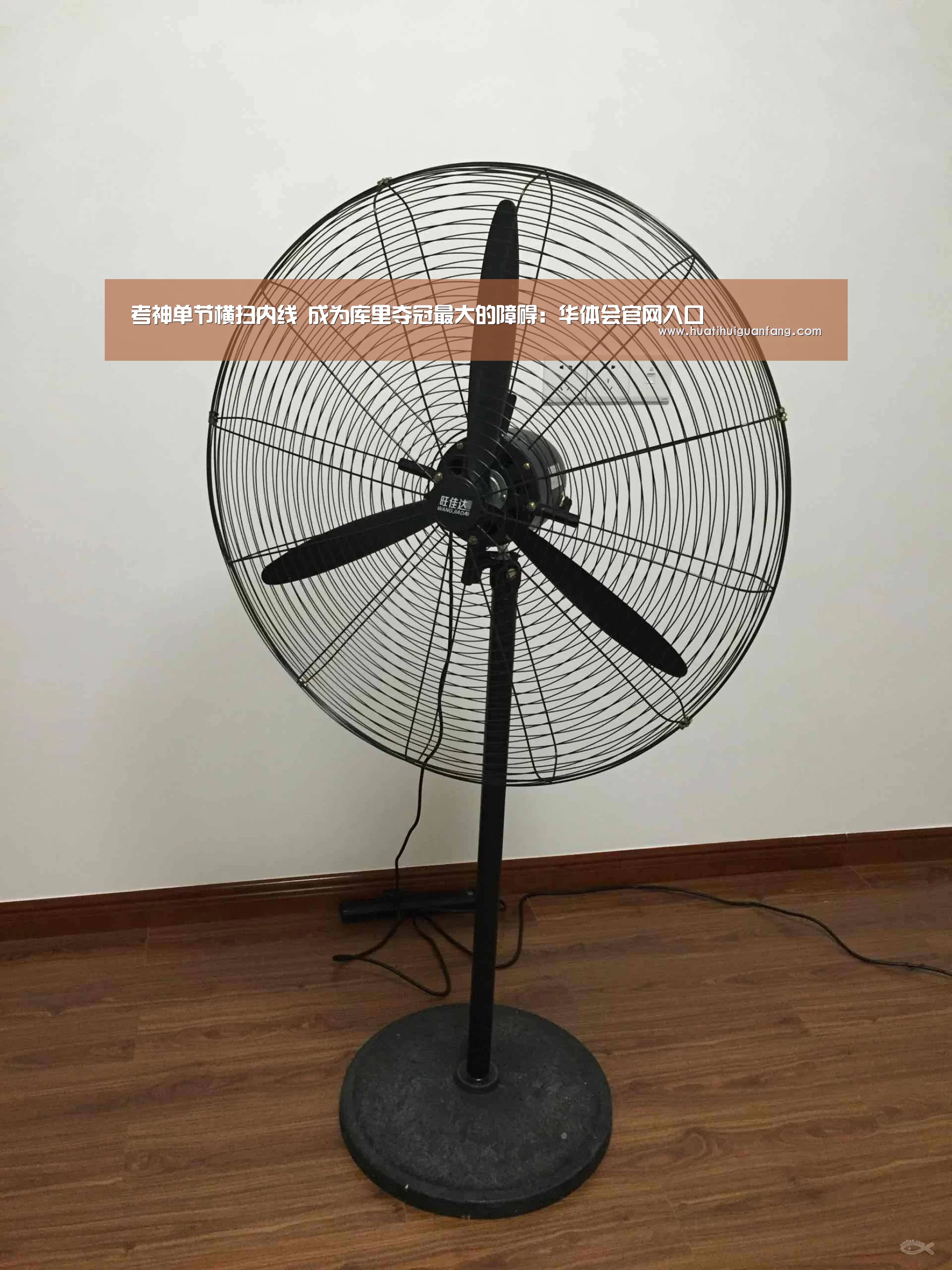 华体登录入口